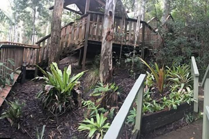 Barrington Wilderness Cedar Lodge Accommodation photo 5