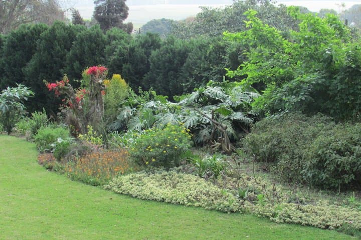 Sugar Hill Manor Guesthouse photo 4