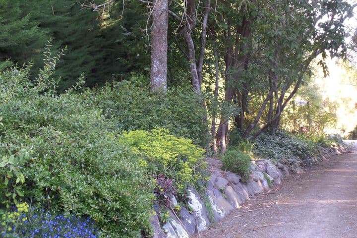 Riverstone House photo 3