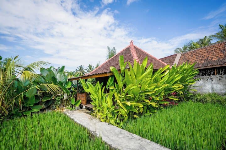 Ubud Sawah Homestay photo 2