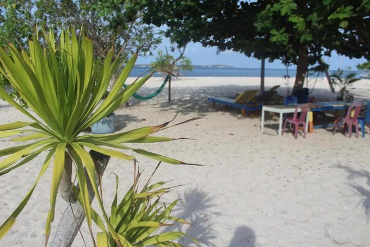 Ocean holiday photo 4