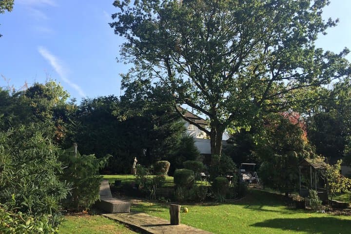 Edgware Bed&Breakfast photo 3