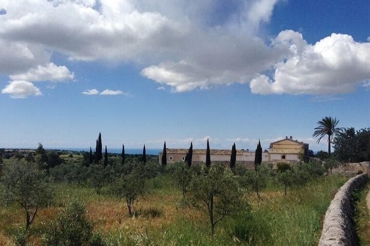 Tenuta Cammarana photo 5