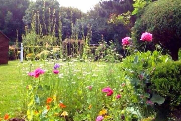 LA B&B Guest Accommodation photo 5