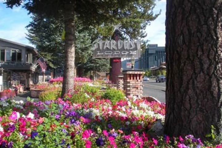 Stardust Lodge photo 3