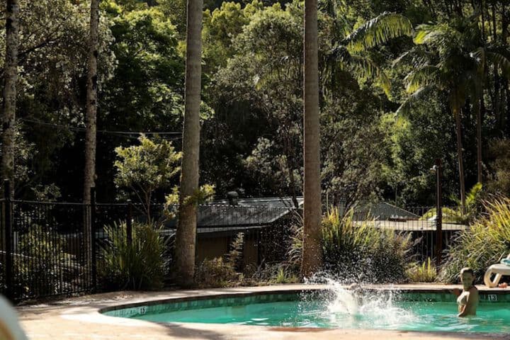 Mt Warning Rainforest Park photo 3