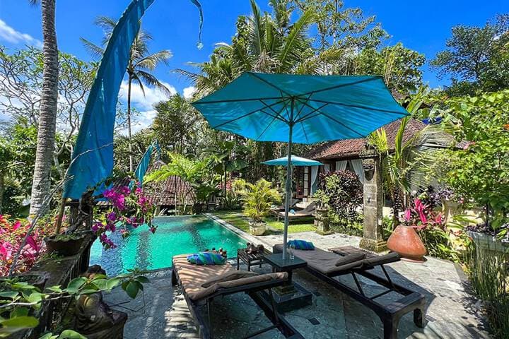 The Mahogany Villa photo 4