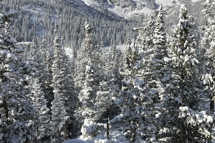 The Silver Lake Lodge photo 2