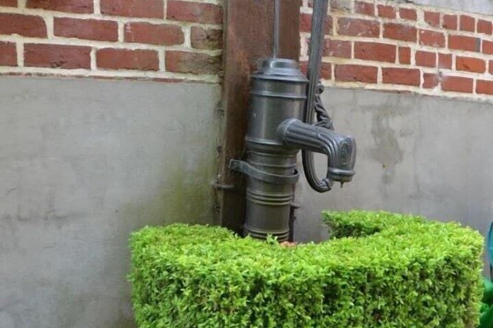 Hof te Spieringen photo 4