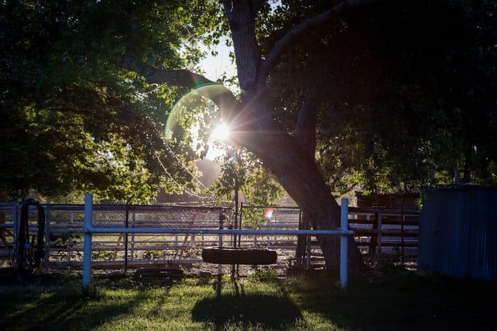 Red Horse Bed&Breakfast photo 5