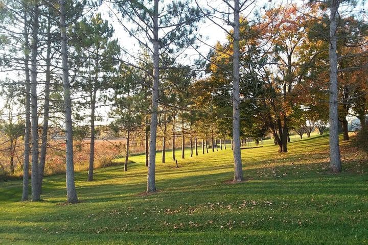 Shane Acres Country Inn photo 3