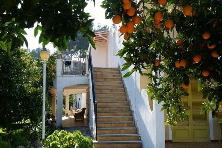 Peguera destination view