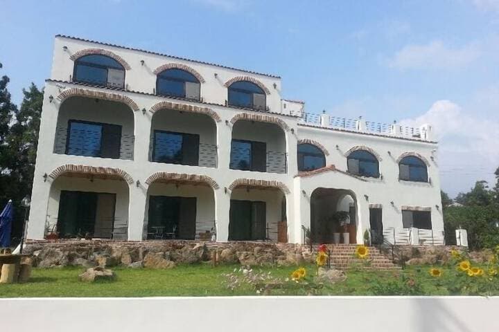 Nomad Pension in Jeju photo 2