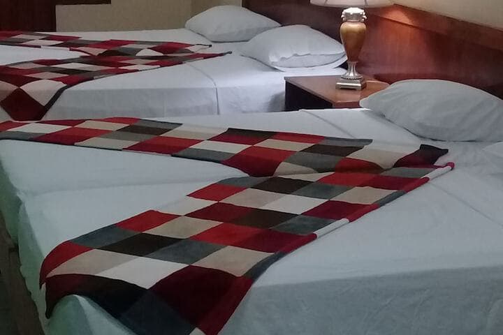 Moniques Guesthouse photo 5