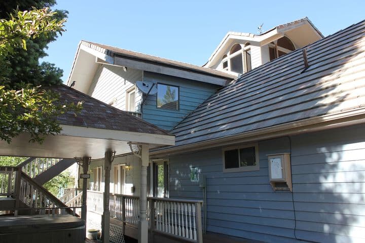 Black Bear Manor photo 4