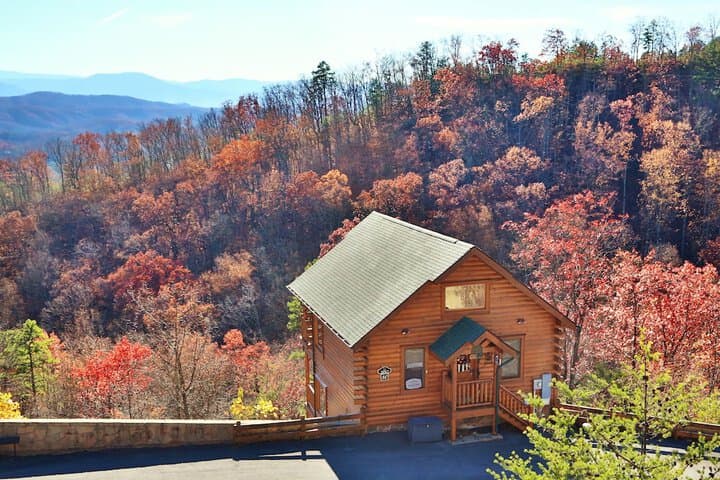 Howling Wolf One Bedroom Cabin photo 4