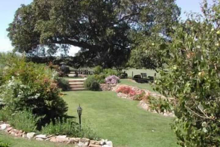 Maddies of Bolwarra photo 4