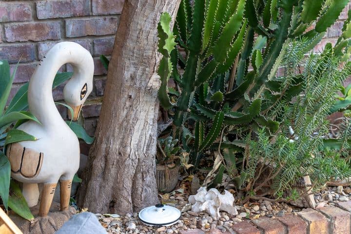 Earthbound B&B photo 5