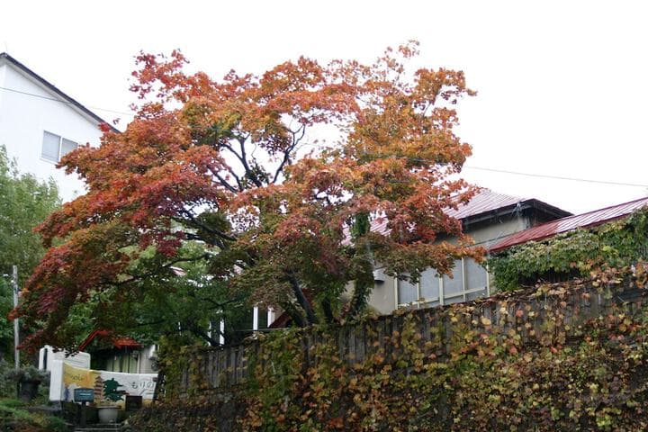 Otarunai Backpackers Hostel MorinoKi photo 3