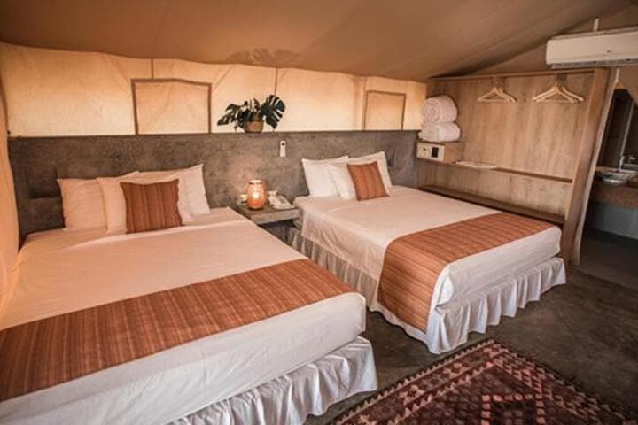 Vichayito Bungalows & Carpas photo 3
