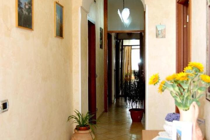 Il Mulino photo 2