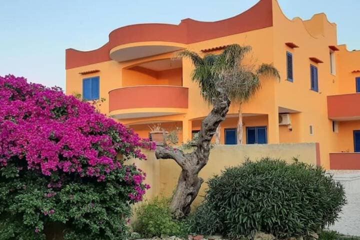 B&B Terra e Colori photo 5