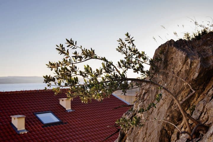 Villa Palloma photo 4