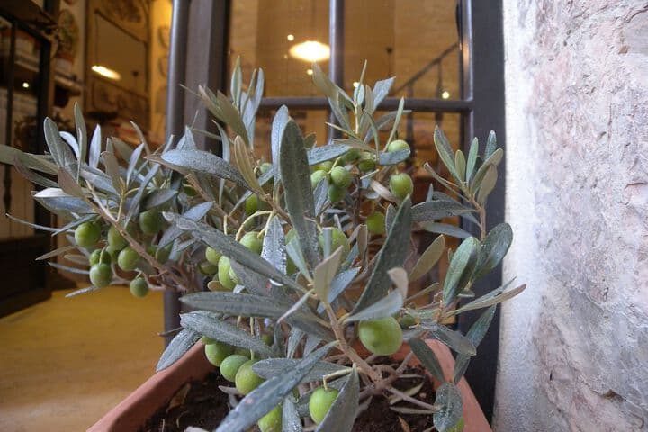 B&B a Casa delle Fate photo 5