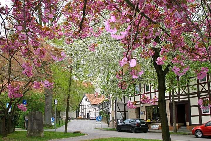 Kärntner Stubn photo 5