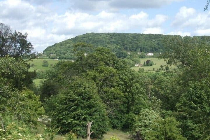 Tibbiwell Lodge B&B photo 2