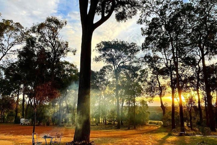 Jarrah Glen Cabins photo 5