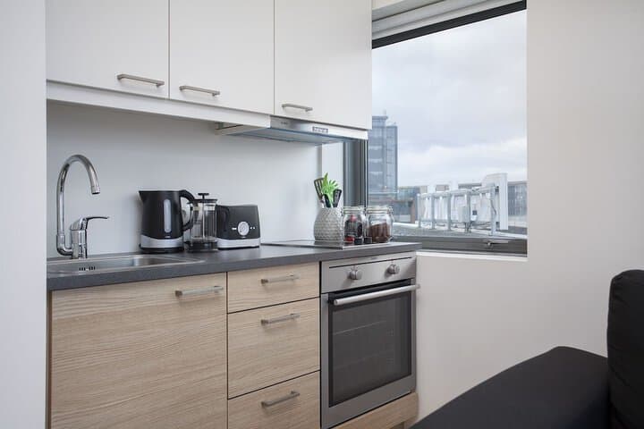 Blue Mountain Apartments by Heimaleiga photo 4