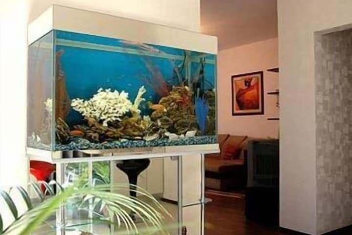 SibHotel photo 5