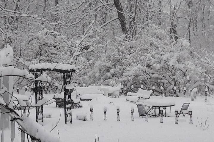 The Proctor Mansion Inn photo 5