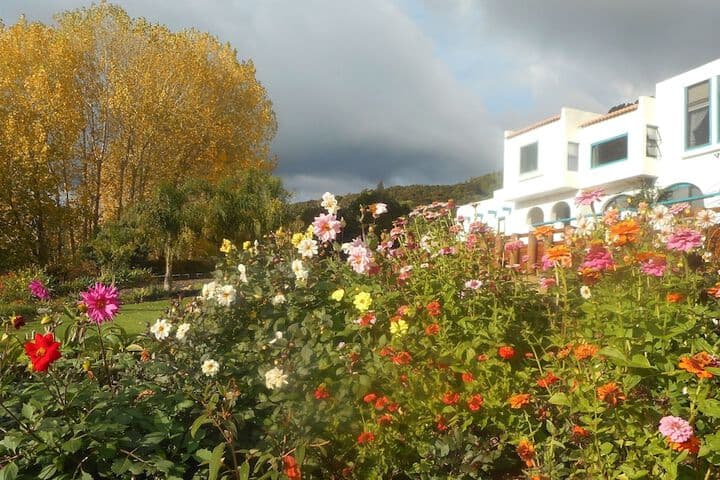 Te Puru destination view