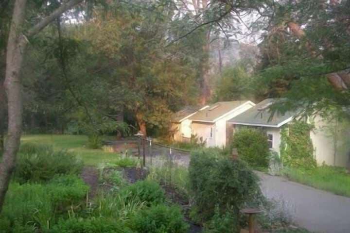 Backyard Garden Oasis photo 4