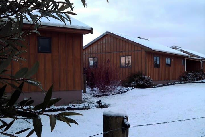 Longbourne Lodge photo 2