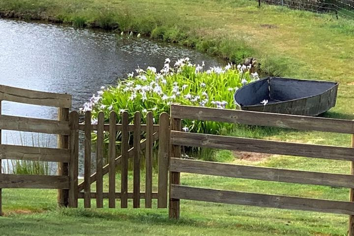 Hazelcreek Cottages photo 4