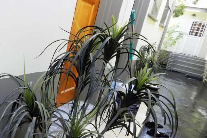 Blackwood Guest House photo 2