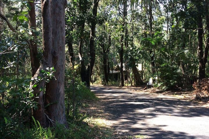 Byron Bay Rainforest Resort photo 3