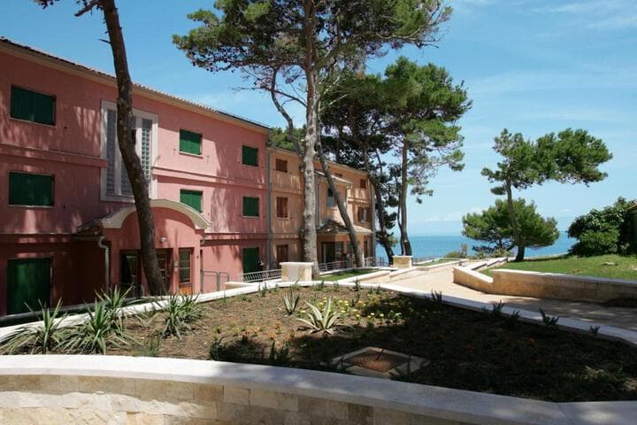 Apartments Punta photo 1