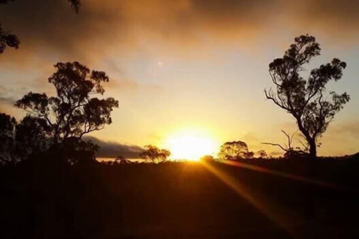 Petersons Armidale Winery & Guesthouse photo 4