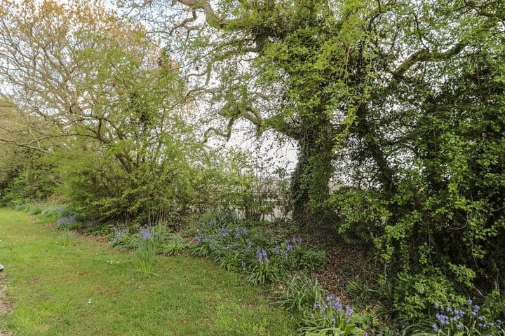 Heron Cottage photo 3