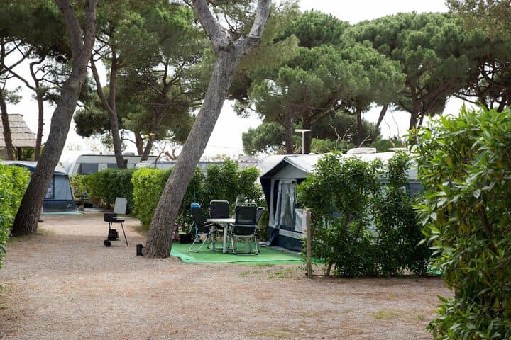 Camping 3 Estrellas photo 3