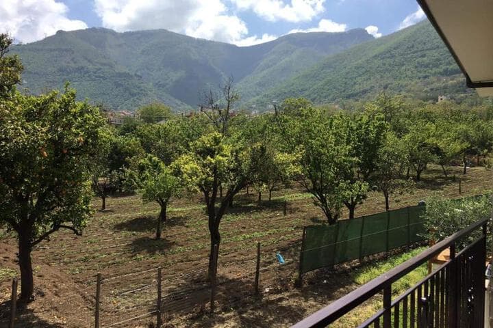 B & B Evergreen photo 3