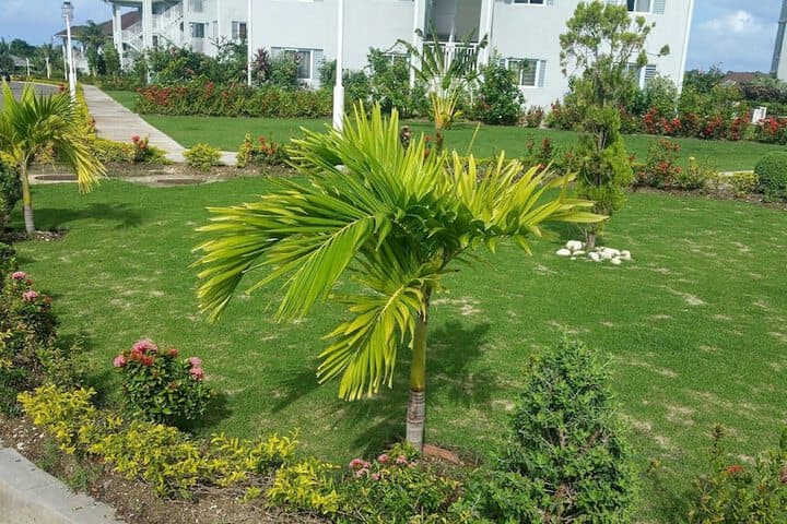 Fern Court Apartment With Oceanic View III photo 4