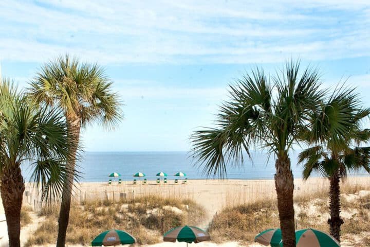 Desoto Beach Terraces photo 4