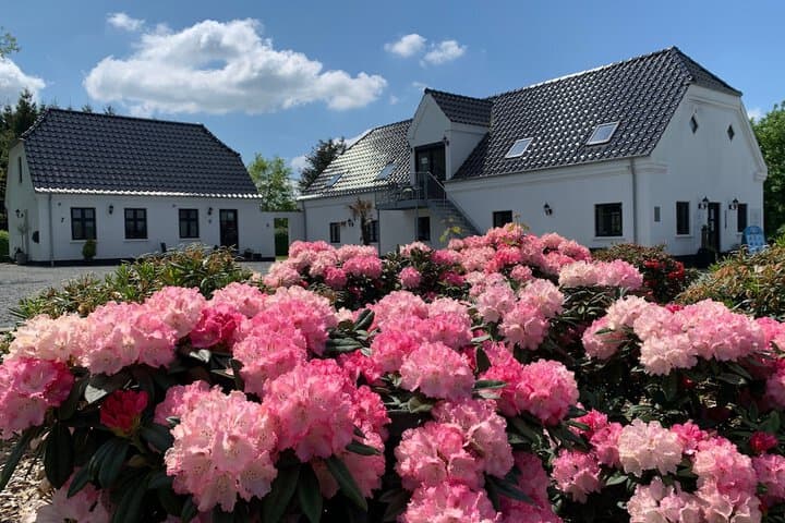 Hedegaarden photo 2