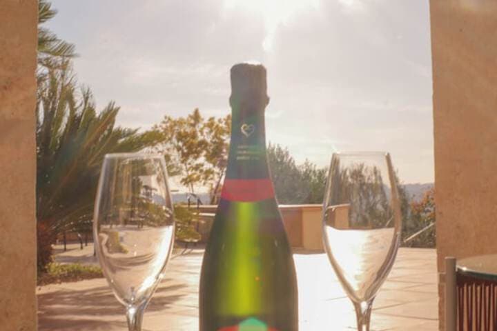 Villa Saint Maxime photo 4