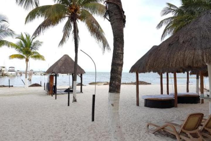 Suite Frente Al Mar photo 5